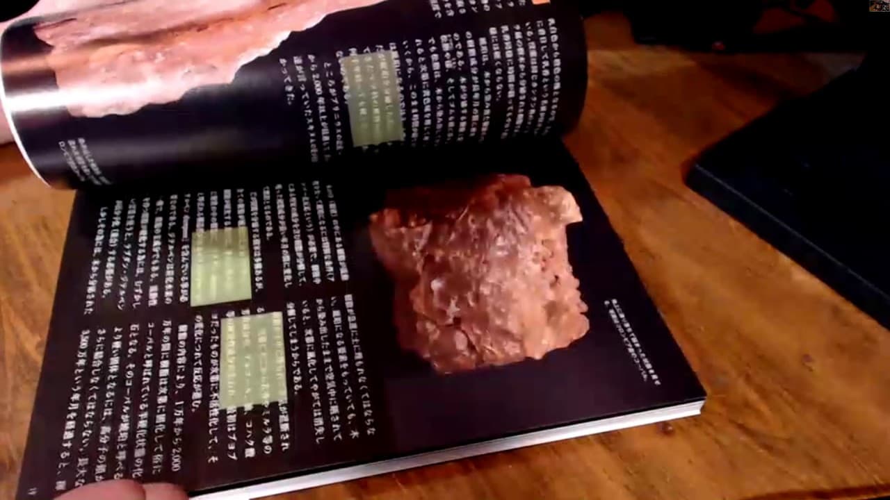 琥珀 - とりロジー